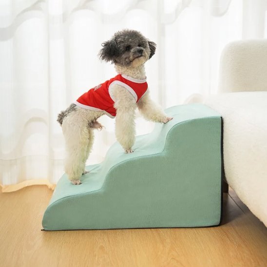 Escalier pour chien | Pliable confort - Paradis de Chien