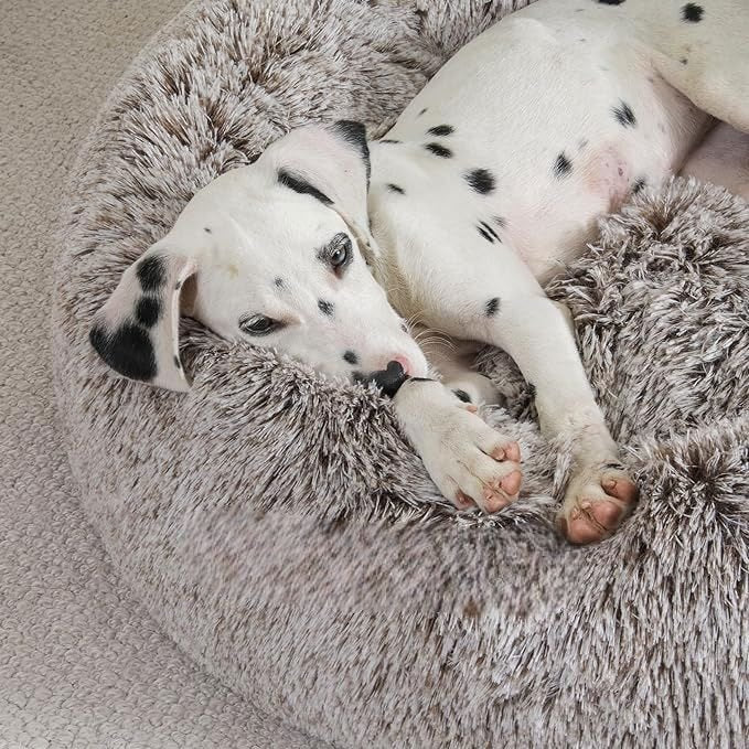 Lit pour Chien - FluffyDogBed™ - Café Dégradé - Paradis de Chien