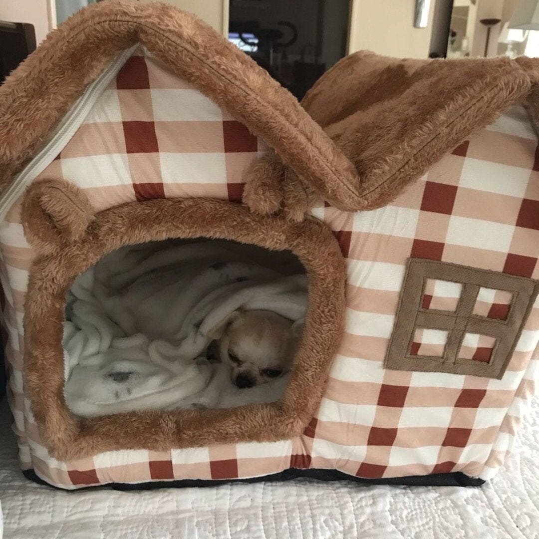 Niche Chien - ComfortableDogHouse™ - Marron Toiture Double - Paradis de Chien