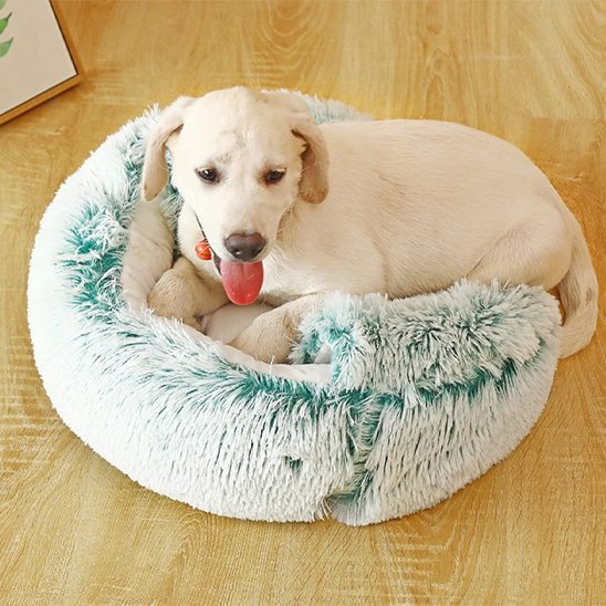 Panier chien | Douillet Confort - Paradis de Chien