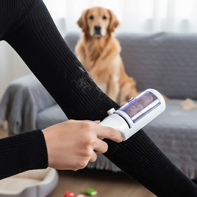 Brosse anti poil | Réutilisable textile animaux - Paradis de Chien