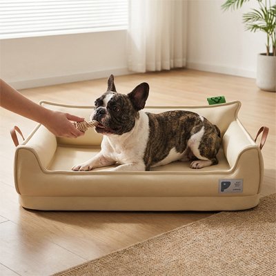Canapé pour chien | Luxe Confort - Paradis de Chien