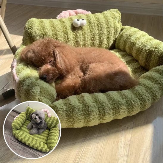 Canapé pour chien | Royal Comfort - Paradis de Chien