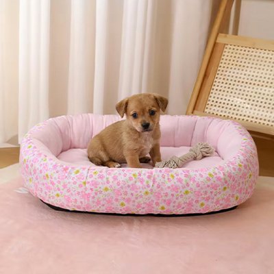 Coussin Chien | Confort Premium - Paradis de Chien