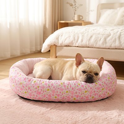 Coussin Chien | Confort Premium - Paradis de Chien