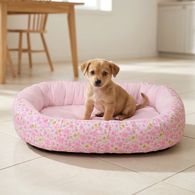 Coussin Chien | Confort Premium - Paradis de Chien