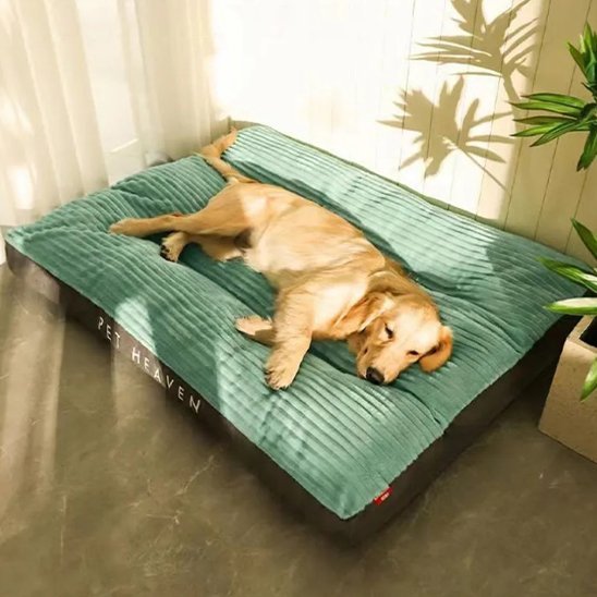 Coussin chien | Douillet - Paradis de Chien
