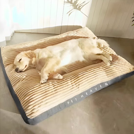 Coussin chien | Douillet - Paradis de Chien