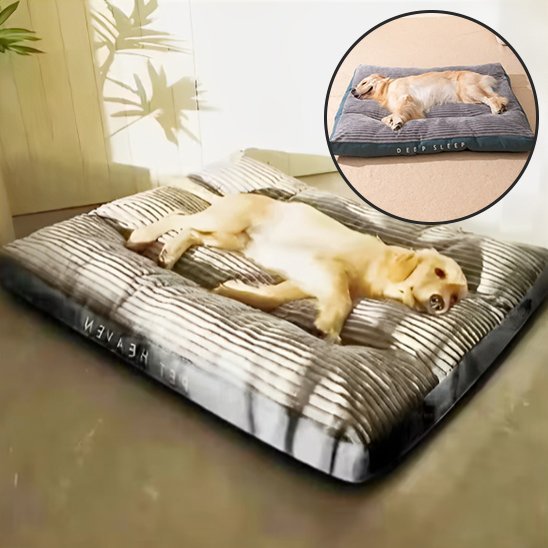 Coussin chien | Douillet - Paradis de Chien