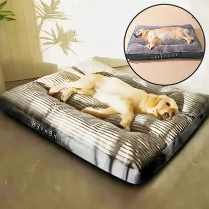 Coussin chien | Douillet - Paradis de Chien