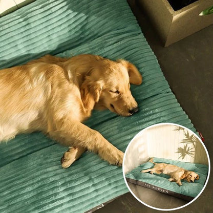 Coussin chien | Douillet - Paradis de Chien