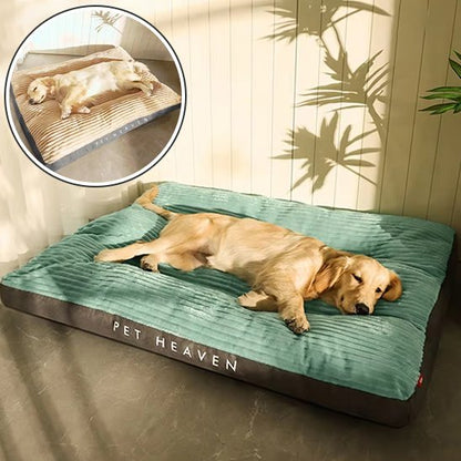 Coussin chien | Douillet - Paradis de Chien