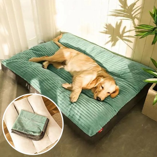 Coussin chien | Douillet - Paradis de Chien