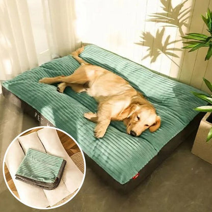 Coussin chien | Douillet - Paradis de Chien