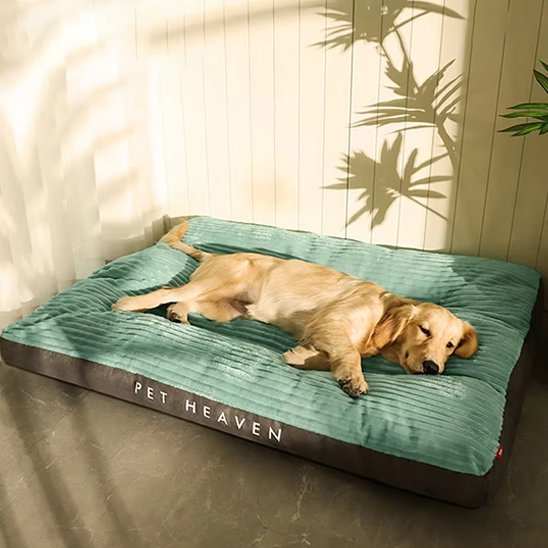 Coussin chien | Douillet - Paradis de Chien