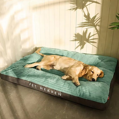 Coussin chien | Douillet - Paradis de Chien