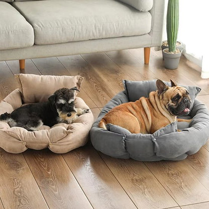 Coussin chien | Orthopédique Confort - Paradis de Chien