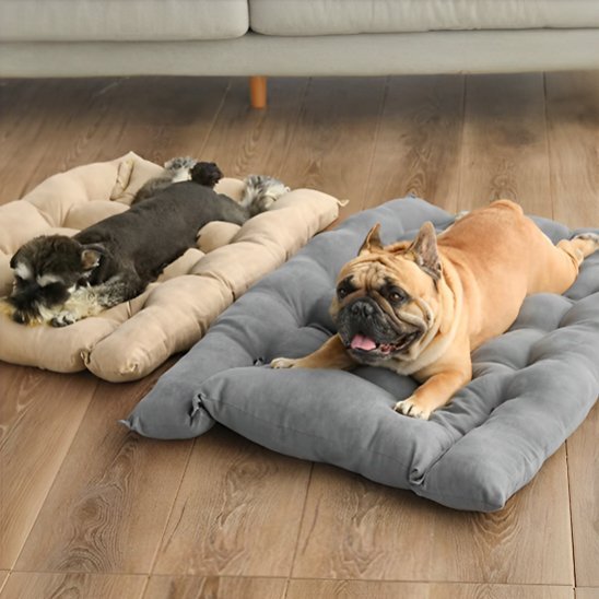 Coussin chien | Orthopédique Confort - Paradis de Chien