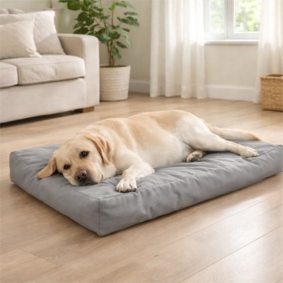Coussin pour Chien Orthopédique | Comfort Plus - Paradis de Chien