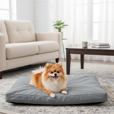 Coussin pour Chien Orthopédique | Comfort Plus - Paradis de Chien