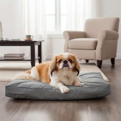 Coussin pour Chien Orthopédique | Comfort Plus - Paradis de Chien
