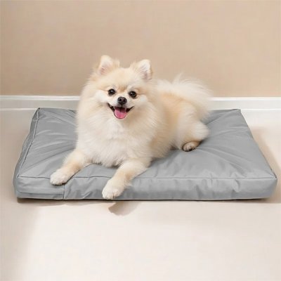 Coussin pour Chien Orthopédique | Comfort Plus - Paradis de Chien