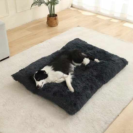Coussin pour chien | Ultra - Moelleux - Paradis de Chien