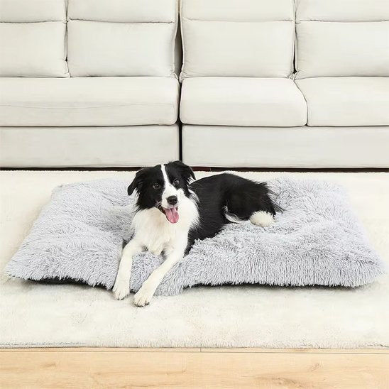 Coussin pour chien | Ultra - Moelleux - Paradis de Chien