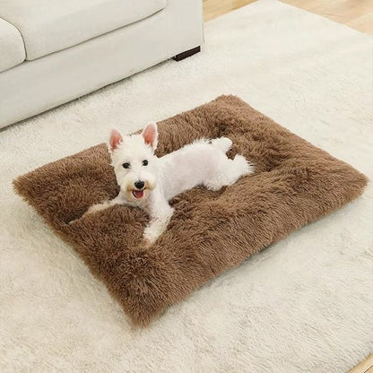 Coussin pour chien | Ultra - Moelleux - Paradis de Chien