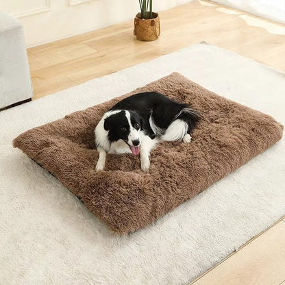 Coussin pour chien | Ultra - Moelleux - Paradis de Chien