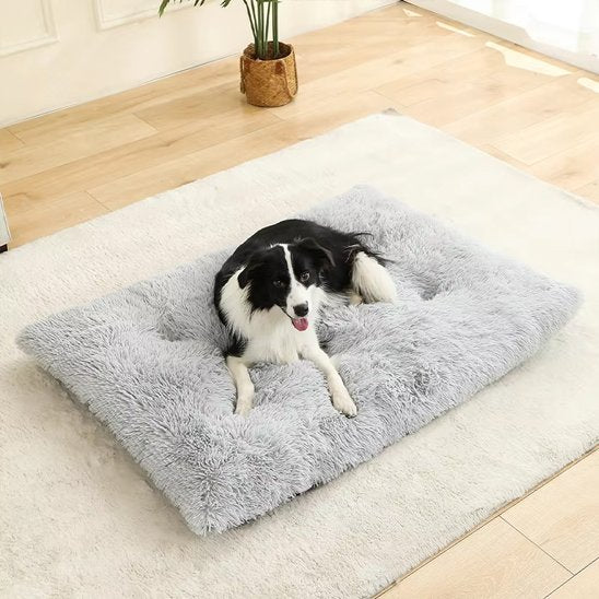 Coussin pour chien | Ultra - Moelleux - Paradis de Chien