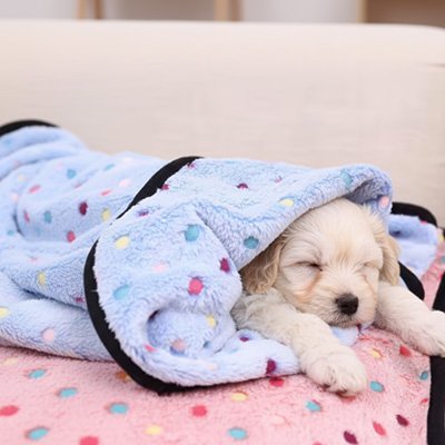 Couverture pour chien | Ultra - confortable - Paradis de Chien