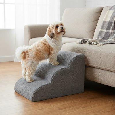 Escalier pour chien | AccessFacile - Paradis de Chien