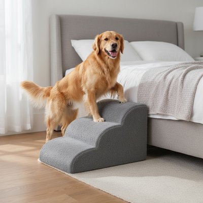 Escalier pour chien | AccessFacile - Paradis de Chien