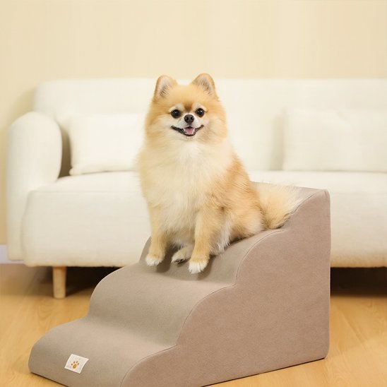 Escalier pour chien | Pliable confort - Paradis de Chien