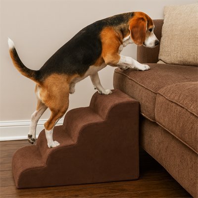 Escalier pour chien | Robuste - Paradis de Chien