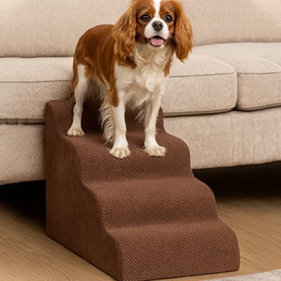 Escalier pour chien | Robuste - Paradis de Chien