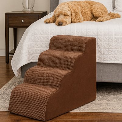Escalier pour chien | Robuste - Paradis de Chien