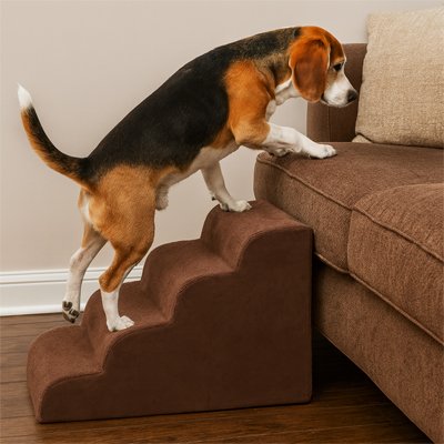 Escalier pour chien