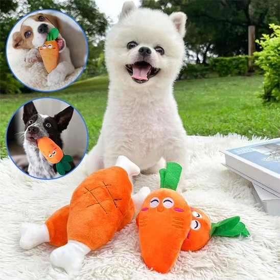 Jouet Chien Ultra - Résistant | Intellistim - Paradis de Chien