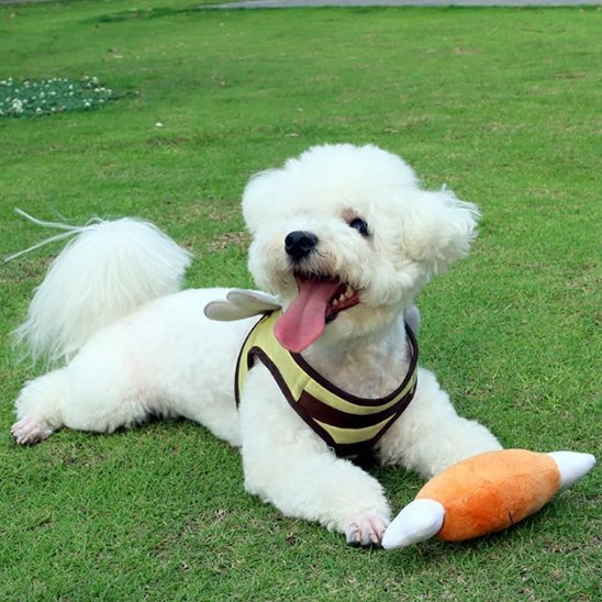 Jouet Chien Ultra - Résistant | Intellistim - Paradis de Chien