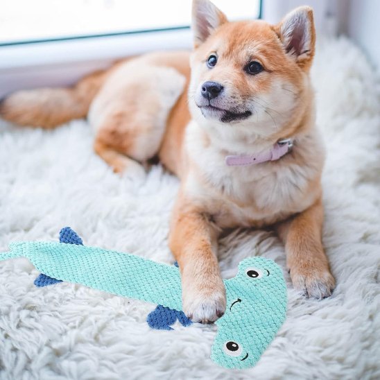 Jouet pour chien | Intelligence & Résistance - Paradis de Chien