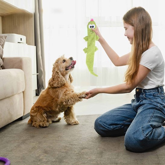 Jouet pour chien | Intelligence & Résistance - Paradis de Chien