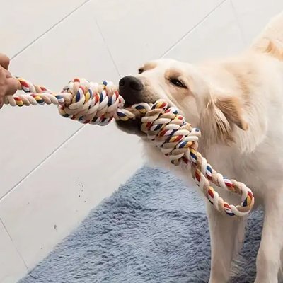 Jouet pour chien | Résistant et Stimulant - Paradis de Chien