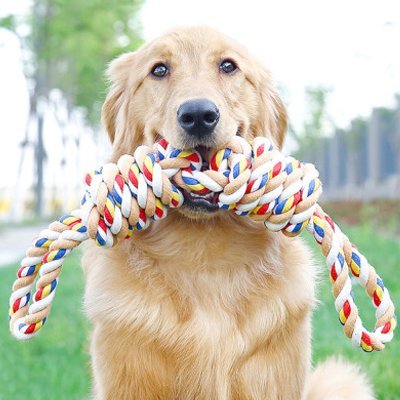 Jouet pour chien | Résistant et Stimulant - Paradis de Chien