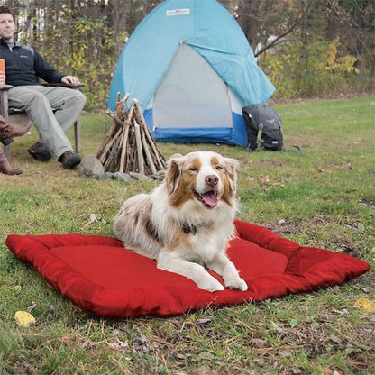 Lit de camp pour chien | Confort Nomade - Paradis de Chien