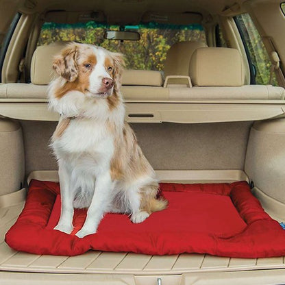 Lit de camp pour chien | Confort Nomade - Paradis de Chien