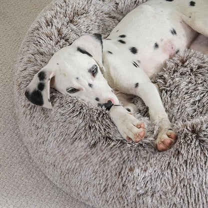 Lit pour Chien - FluffyDogBed™ - Café Dégradé - Paradis de Chien