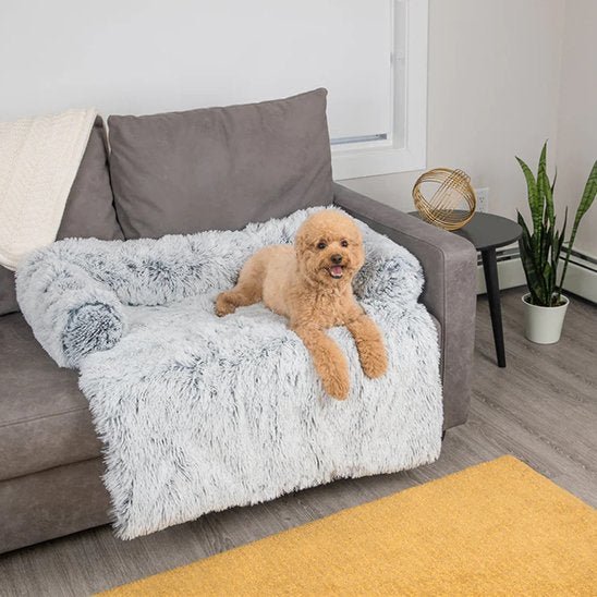 Lit pour chien orthopédique | Comfort - Paradis de Chien