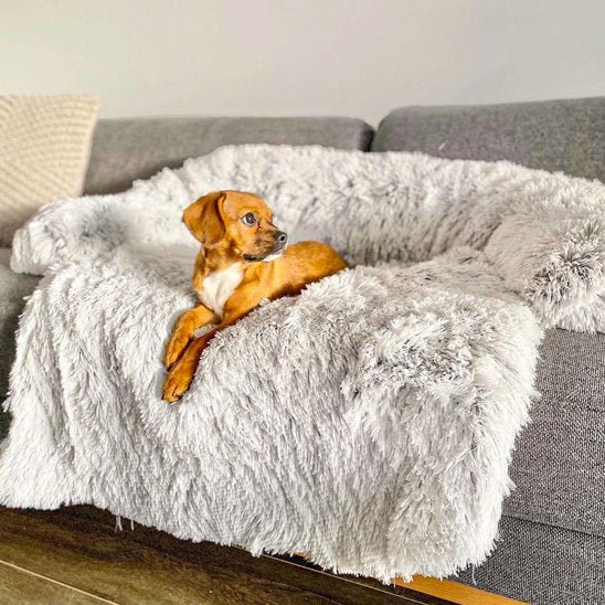 Lit pour chien orthopédique | Comfort - Paradis de Chien